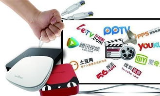 霸道“總菊”與互聯網電視 信息服務博弈記（上篇）